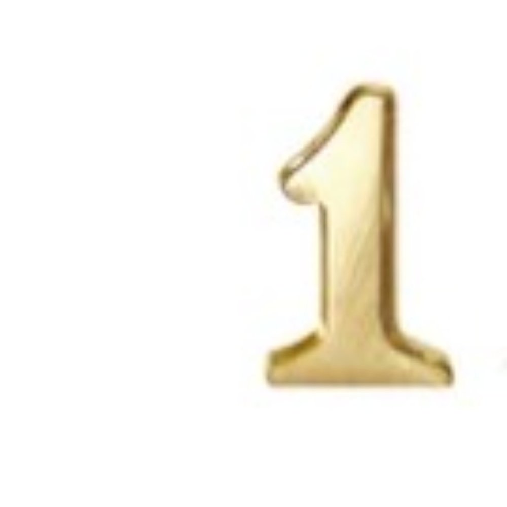 Alex Woo 14 KT yellow gold number 1 pendant and 16" 14kt chain (new with tag)